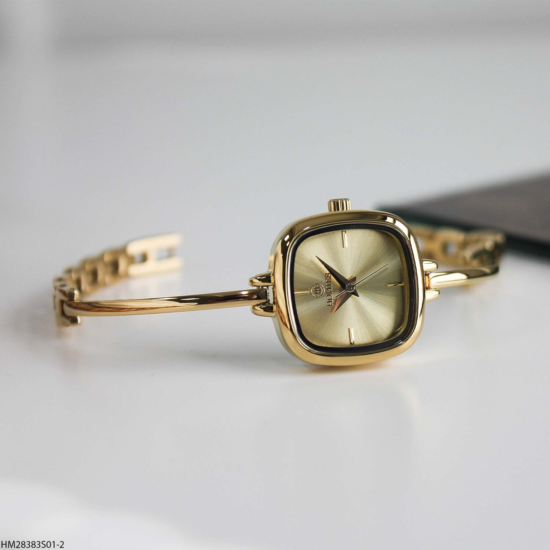 Homies HM28383S01-2 Çelik kordonlu Kadın Kol Saati