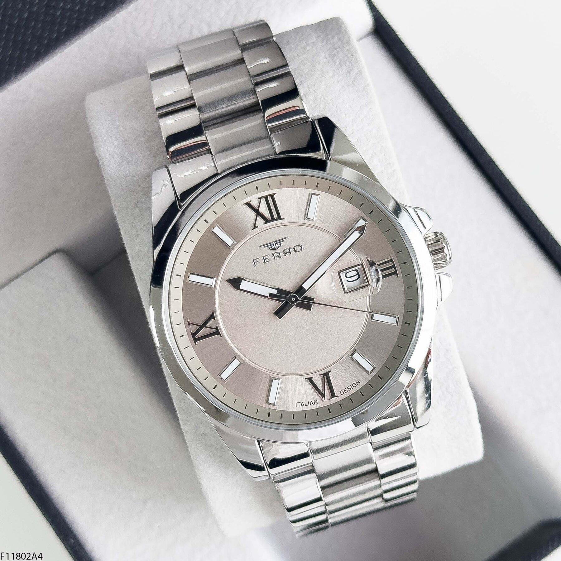 Ferro FM31441D2 Steel Strap Men Watch