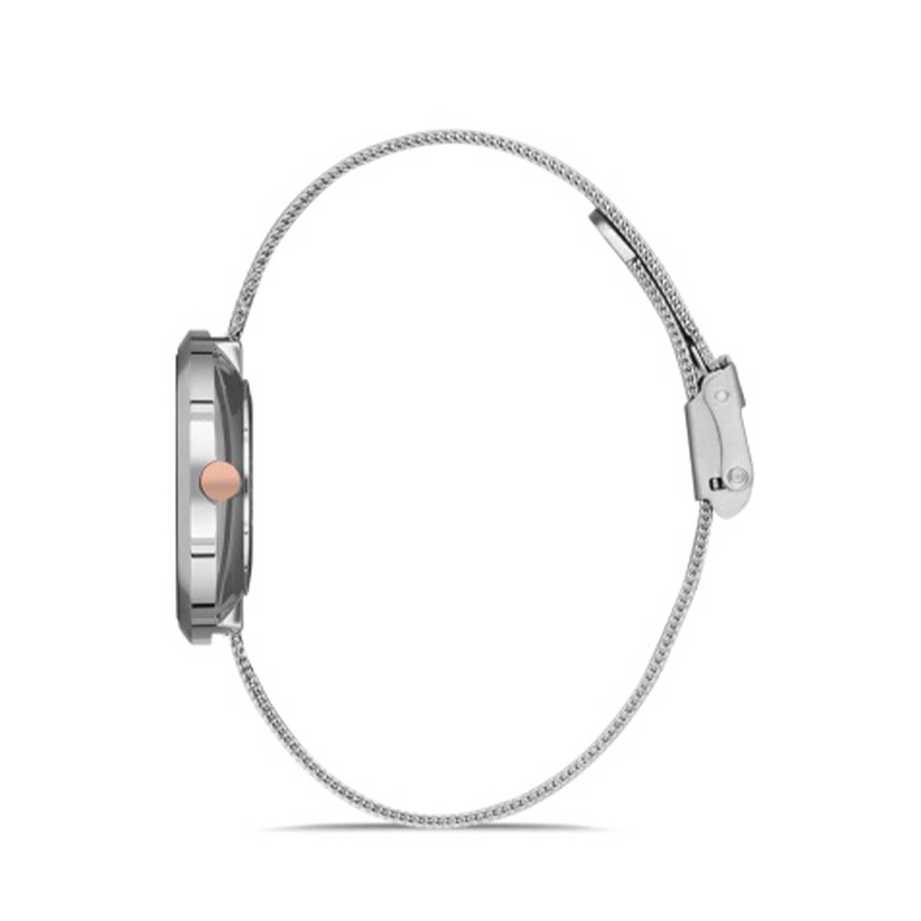 Ferro F1908E Çelik Hasır Kordonlu Kadın Kol Saati